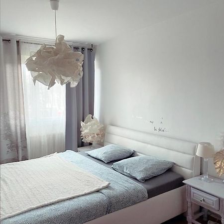 Bel Appartement Near Bale Mulhouse Airport Saint-Louis  Luaran gambar