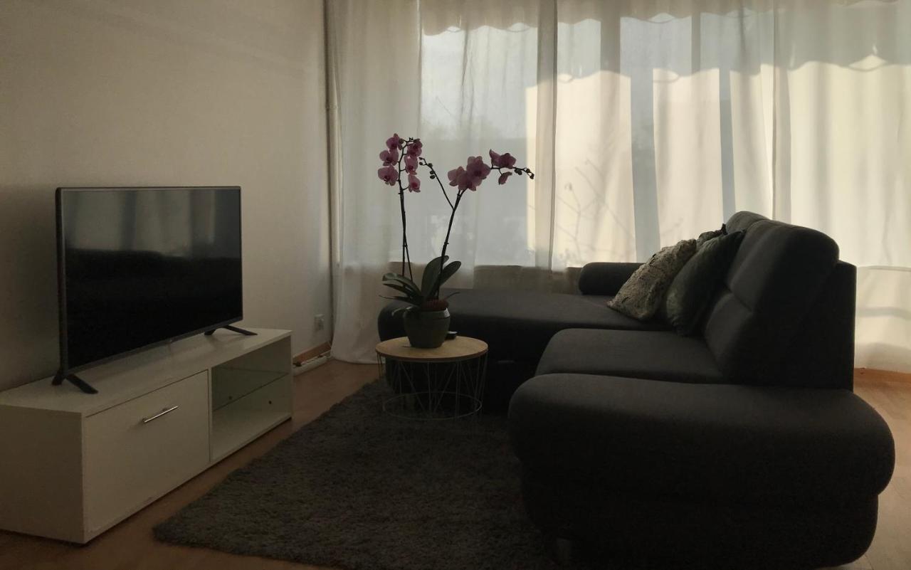 Bel Appartement Near Bale Mulhouse Airport Saint-Louis  Luaran gambar