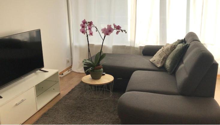 Bel Appartement Near Bale Mulhouse Airport Saint-Louis  Luaran gambar