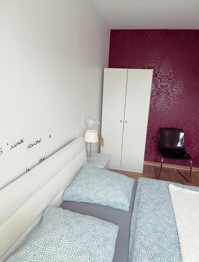 Bel Appartement Near Bale Mulhouse Airport Saint-Louis  Luaran gambar