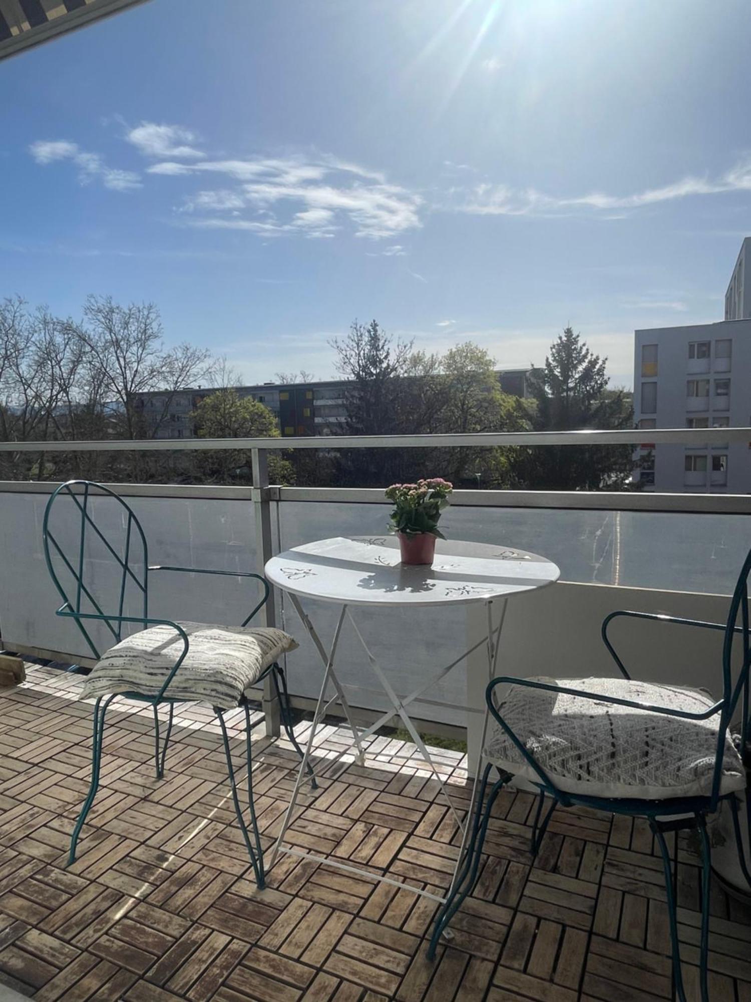 Bel Appartement Near Bale Mulhouse Airport Saint-Louis  Luaran gambar