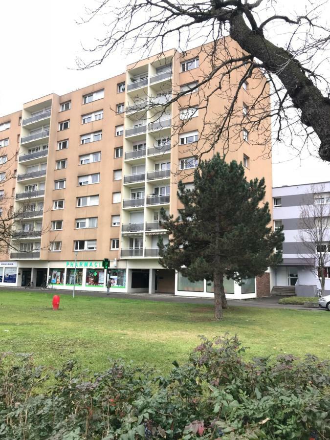 Bel Appartement Near Bale Mulhouse Airport Saint-Louis  Luaran gambar