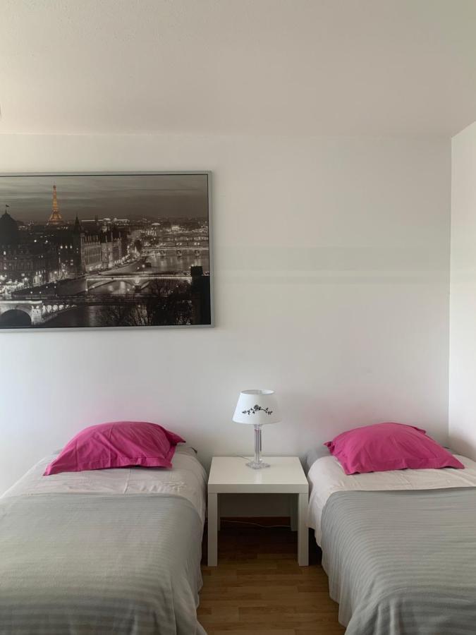 Bel Appartement Near Bale Mulhouse Airport Saint-Louis  Luaran gambar