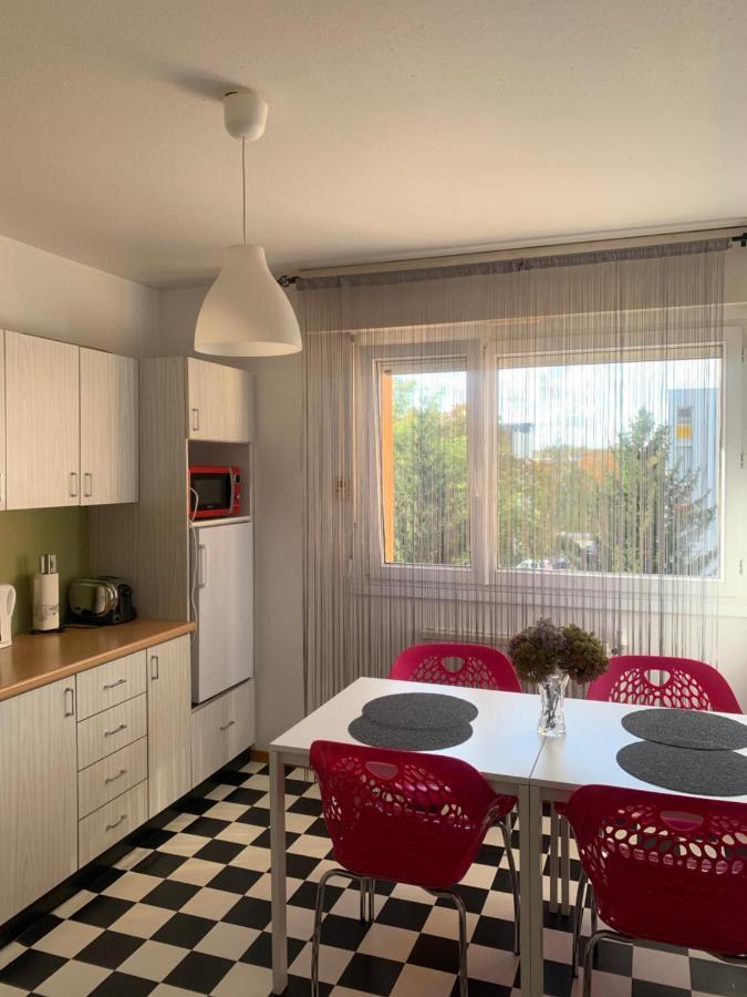 Bel Appartement Near Bale Mulhouse Airport Saint-Louis  Luaran gambar